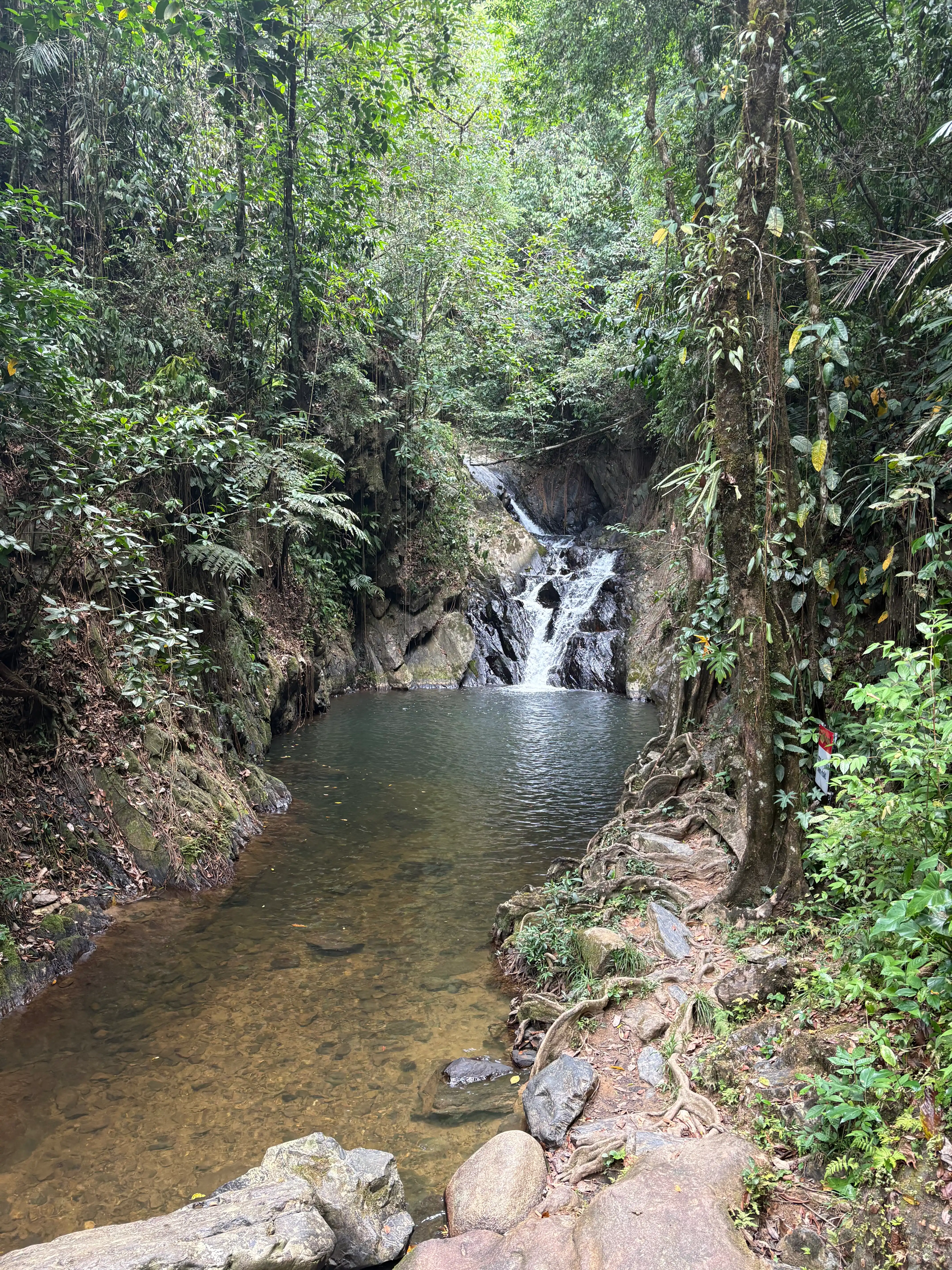 Water fall and swimming spot at Billy Barquedier